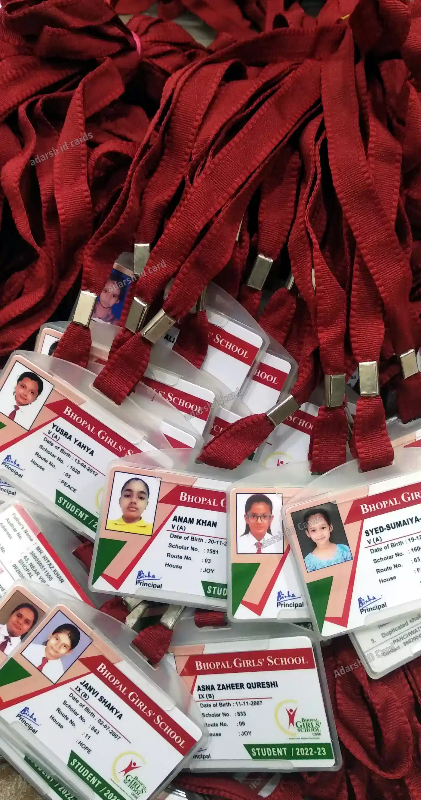 ID Cards 87FF72 - ID Cards Printing Madhya Pradesh