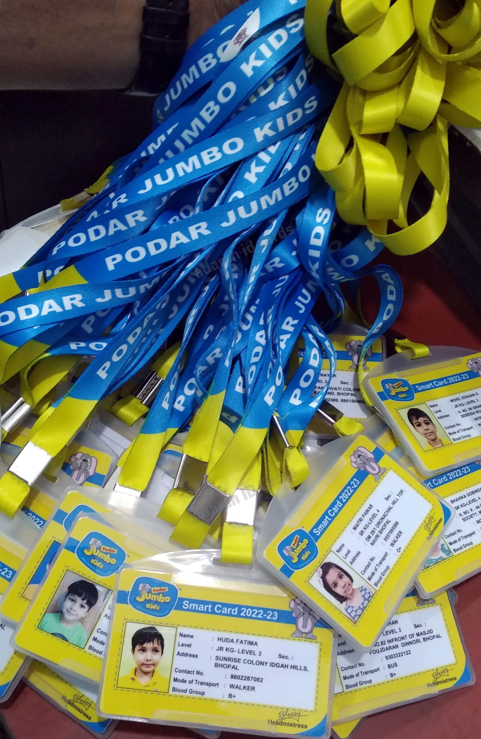 Lanyards 683258